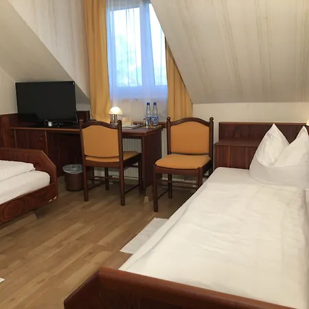 Hotel Hotel-restaurant Und Gaestehaus Loewen 3*