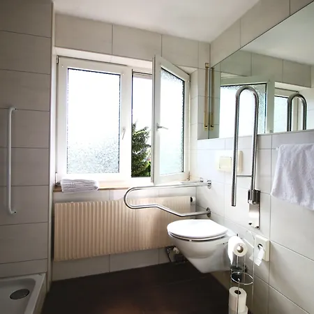 Hotel-restaurant Und Gaestehaus Loewen 3*