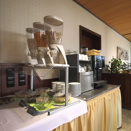 Hotel-restaurant Und Gaestehaus Loewen