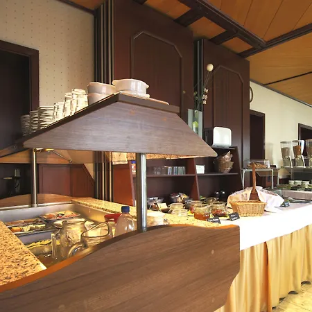 Hotel Hotel-restaurant Und Gaestehaus Loewen